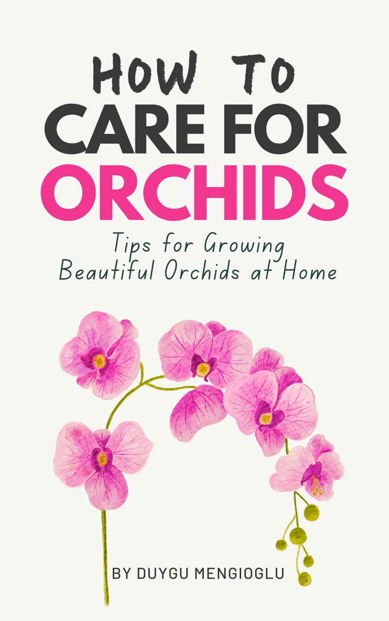Cover of How to Care for Orchids